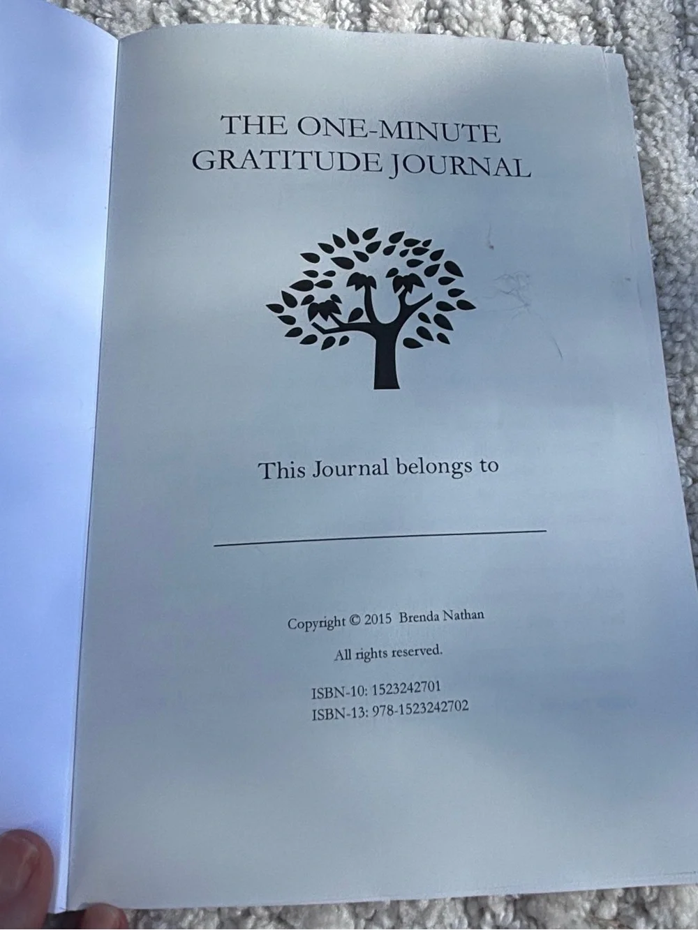 🎉BRAND NEW 🎉 The One-Minute Gratitude Journal by — Brenda Nathan